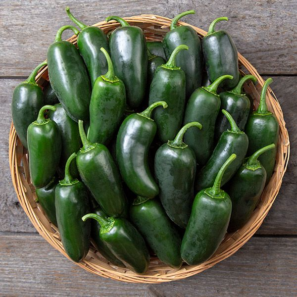 Jalapeno (Black Magic)