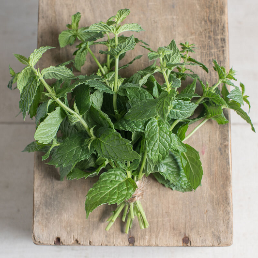 Spearmint