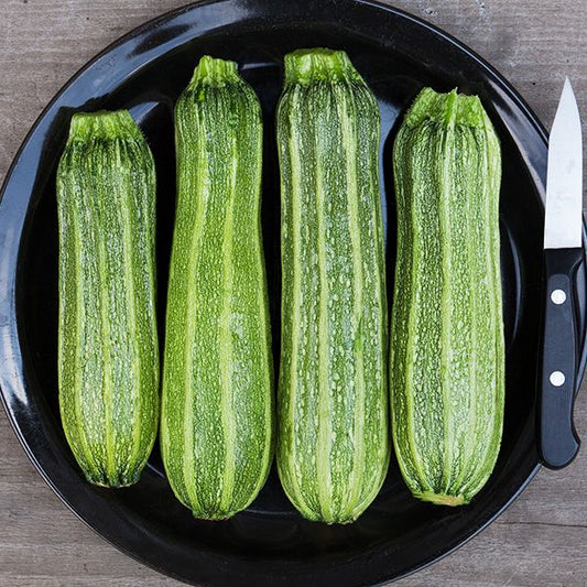 Zucchini (Costata Romanesca)