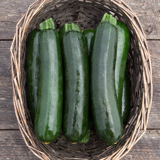 Zucchini (Desert)